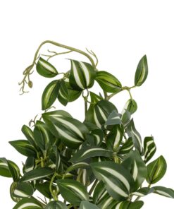 GloboStar® Artificial Garden ZEBRINA PLANT 20960 Διακοσμητικό Φυτό Ζεμπρίνα Φ45 x Υ22cm