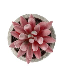 GloboStar® Artificial Garden SUCCULENT SEDEVERIA 21020 Τεχνητό Διακοσμητικό Φυτό Σεδεβέρια Μ6.5 x Π6.5 x Υ9cm