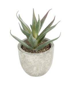 GloboStar® Artificial Garden SUCCULENT ALOE 21022 Τεχνητό Διακοσμητικό Φυτό Αλόη Μ6 x Π6 x Υ12cm