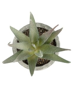 GloboStar® Artificial Garden SUCCULENT ALOE 21022 Τεχνητό Διακοσμητικό Φυτό Αλόη Μ6 x Π6 x Υ12cm