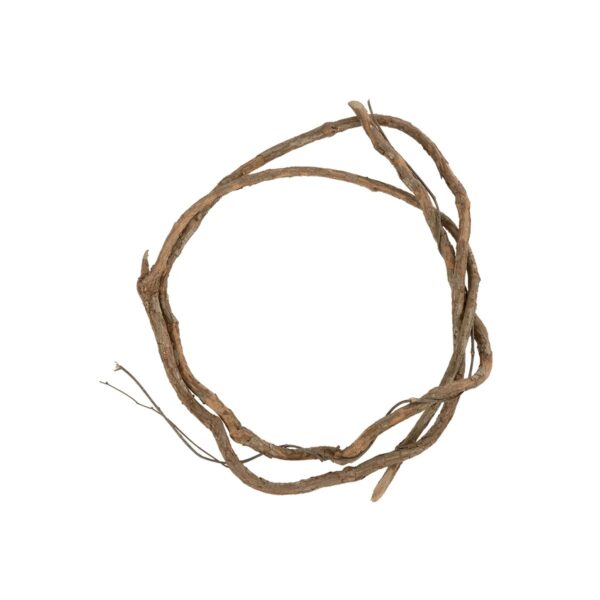 GloboStar® Artificial Garden DRY VINE 21067 Τεχνητό Διακοσμητικό Κλαδί Ξηρό Αμπέλι Μ8 x Π8 x Υ180cm – Σετ 10 τμχ