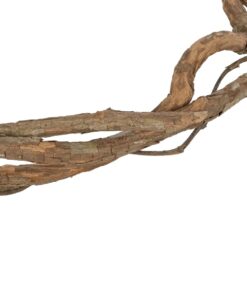 GloboStar® Artificial Garden DRY VINE 21067 Τεχνητό Διακοσμητικό Κλαδί Ξηρό Αμπέλι Μ8 x Π8 x Υ180cm – Σετ 10 τμχ