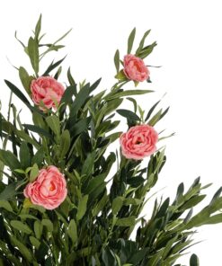 GloboStar® Artificial Garden PINK PEONY 21097 Τεχνητό Διακοσμητικό Δέντρο Παιώνια Μ80 x Π70 x Υ160cm