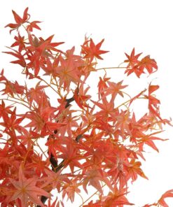 GloboStar® Artificial Garden MAPLE TREE 21105 Τεχνητό Διακοσμητικό Δέντρο Σφένδαμος Μ80 x Π80 x Υ160cm