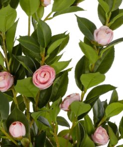 GloboStar® Artificial Garden CAMELIA 21115 Τεχνητό Διακοσμητικό Δέντρο Καμέλια Μ50 x Π30 x Υ90cm