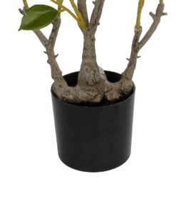 GloboStar® Artificial Garden CAMELIA 21115 Τεχνητό Διακοσμητικό Δέντρο Καμέλια Μ50 x Π30 x Υ90cm