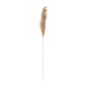 GloboStar® Artificial Garden PAMPAS GRASS 21217 Αποξηραμένο Διακοσμητικό Γρασίδι Πάμπας Μ10 x Π10 x Υ150cm