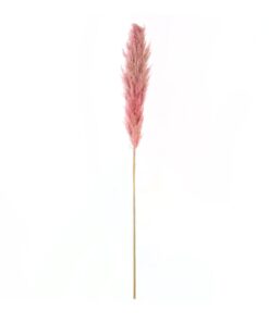 GloboStar® Artificial Garden PAMPAS GRASS 21218 Αποξηραμένο Διακοσμητικό Γρασίδι Πάμπας Μ10 x Π10 x Υ150cm
