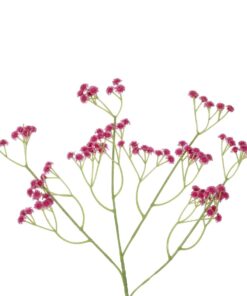GloboStar® Artificial Garden PINK BRANCH BABY BREATH 21368 Τεχνητό Διακοσμητικό Κλαδί Ροζ Γυψοφίλης Y61cm
