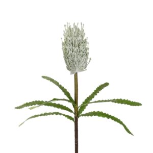 GloboStar® Artificial Garden WHITE STIPA FRUIT BRANCH 21374 Τεχνητό Διακοσμητικό Κλαδί Στίπα Y69cm