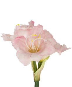 GloboStar® Artificial Garden PINK KAFFIR LILY BRANCH 21390 Τεχνητό Διακοσμητικό Κλαδί Ροζ Κρίνο Y58cm