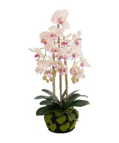GloboStar® Artificial Garden BUTTERFLY ORCHID BONSAI 21400 Τεχνητό Διακοσμητικό Φυτό Ορχιδέα Μ34 x Π27 x Υ65cm