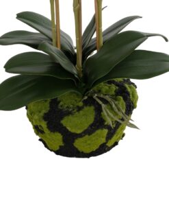 GloboStar® Artificial Garden BUTTERFLY ORCHID BONSAI 21400 Τεχνητό Διακοσμητικό Φυτό Ορχιδέα Μ34 x Π27 x Υ65cm