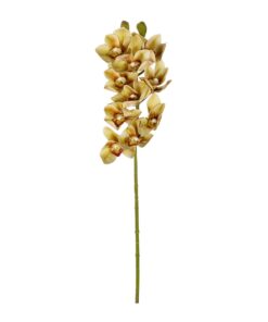 GloboStar® Artificial Garden CHAMPAGNE CYMBIDIUM BRANCH 21408 Τεχνητό Διακοσμητικό Κλαδί Σαμπανί Κυμβίδιο Y75cm