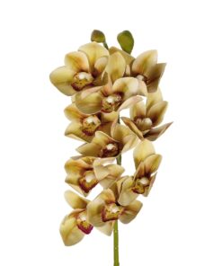 GloboStar® Artificial Garden CHAMPAGNE CYMBIDIUM BRANCH 21408 Τεχνητό Διακοσμητικό Κλαδί Σαμπανί Κυμβίδιο Y75cm