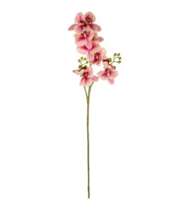 GloboStar® Artificial Garden CHAMPAGNE PINK ORCHID BRANCH 21411 Τεχνητό Διακοσμητικό Κλαδί Σαμπανί Ορχιδέα Y70cm