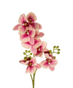 GloboStar® Artificial Garden CHAMPAGNE PINK ORCHID BRANCH 21411 Τεχνητό Διακοσμητικό Κλαδί Σαμπανί Ορχιδέα Y70cm