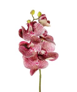 GloboStar® Artificial Garden PINK ORCHID BRANCH 21412 Τεχνητό Διακοσμητικό Κλαδί Ροζ Ορχιδέα Y70cm