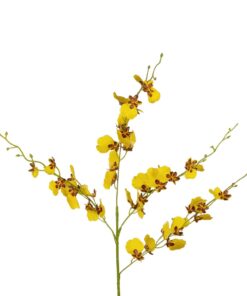 GloboStar® Artificial Garden YELLOW SPRING ORCHIDIUM BRANCH 21415 Τεχνητό Διακοσμητικό Κλαδί Κίτρινη Ορχιδέα Y76cm