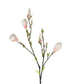 GloboStar® Artificial Garden CHAMPAGNE MAGNOLIA BRANCH 21423 Τεχνητό Διακοσμητικό Κλαδί Σαμπανί Μανόλια Y100cm