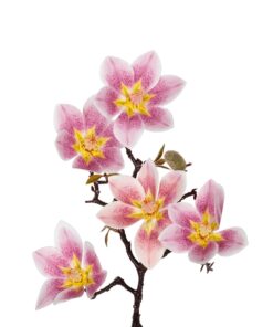 GloboStar® Artificial Garden PING MAGNOLIA BRANCH 21424 Τεχνητό Διακοσμητικό Κλαδί Ροζ Μανόλια Y57cm