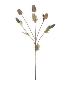 GloboStar® Artificial Garden POPPY FRUIT BRANCH 21432 Τεχνητό Διακοσμητικό Κλαδί Παπαρούνα Y62cm