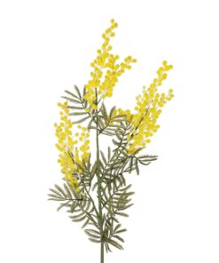 GloboStar® Artificial Garden YELLOW MIMOSA FRUIT BRANCH 21451 Τεχνητό Διακοσμητικό Κλαδί Κίτρινη Μιμόζα Y76cm