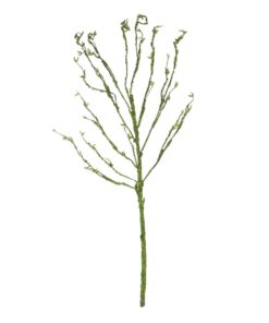 GloboStar® Artificial Garden BIG SPROUT BLOSSOM BRANCH 21461 Τεχνητό Διακοσμητικό Κλαδί Πράσινο Λάχανο Y150cm