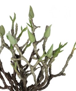 GloboStar® Artificial Garden GREEN ORCHID BOUQET 21466 Τεχνητό Διακοσμητικό Μπουκέτο Πράσινη Ορχιδέα Y34cm