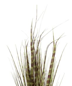 GloboStar® Artificial Garden ZEBRA GRASS 21482 Τεχνητό Διακοσμητικό Φυτό Ζέμπρα Υ85cm