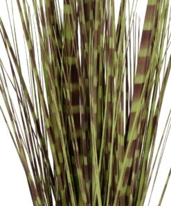 GloboStar® Artificial Garden ZEBRA GRASS 21482 Τεχνητό Διακοσμητικό Φυτό Ζέμπρα Υ85cm