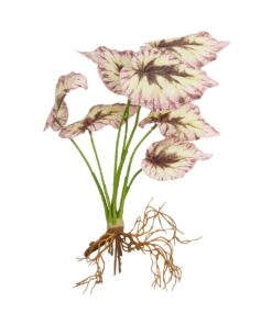 GloboStar® Artificial Garden BEGONIA LEAVES ROOTED 21489 Τεχνητό Διακοσμητικό Φυτό Πολύχρωμη Βιγόνια Μ25 x Π14 x Υ35cm