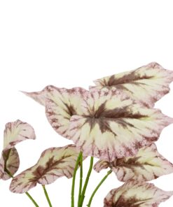 GloboStar® Artificial Garden BEGONIA LEAVES ROOTED 21489 Τεχνητό Διακοσμητικό Φυτό Πολύχρωμη Βιγόνια Μ25 x Π14 x Υ35cm