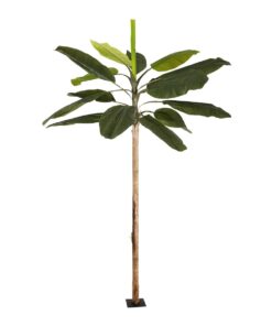GloboStar® Artificial Garden BANANA TREE 21501 Τεχνητό Διακοσμητικό Δέντρο Μπανανιάς Υ400cm