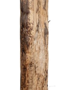 GloboStar® Artificial Garden BANANA TREE 21502 Τεχνητό Διακοσμητικό Δέντρο Μπανανιάς Υ500cm