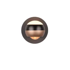 244410132_1