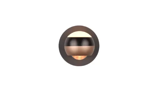 244410132_1
