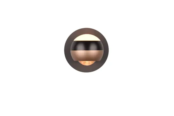 244410132_1