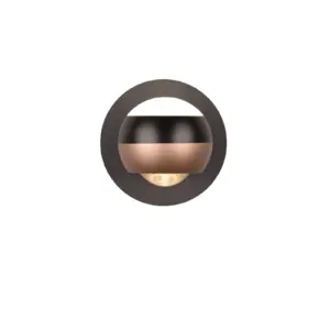 244410132_4