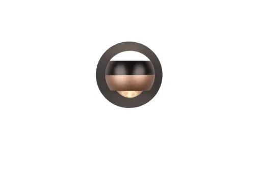 244410132_4