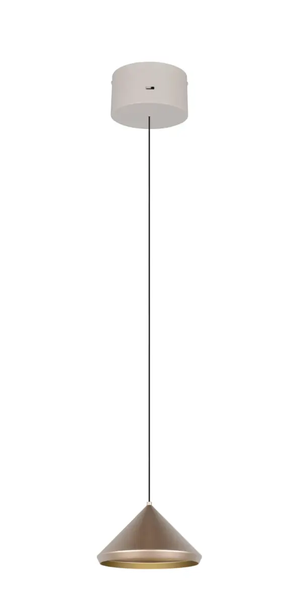 336210165_4