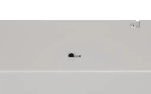 336210365_4