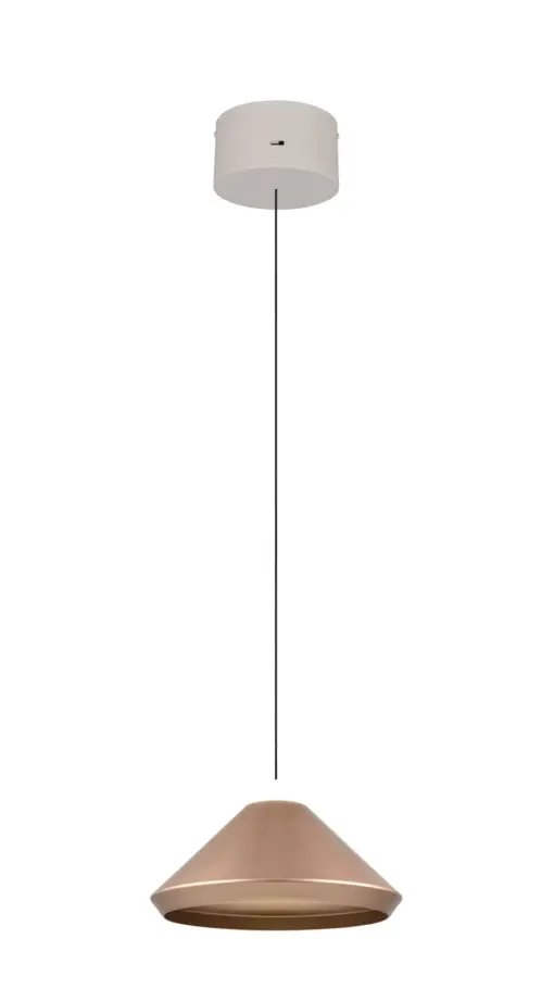 336219165_4