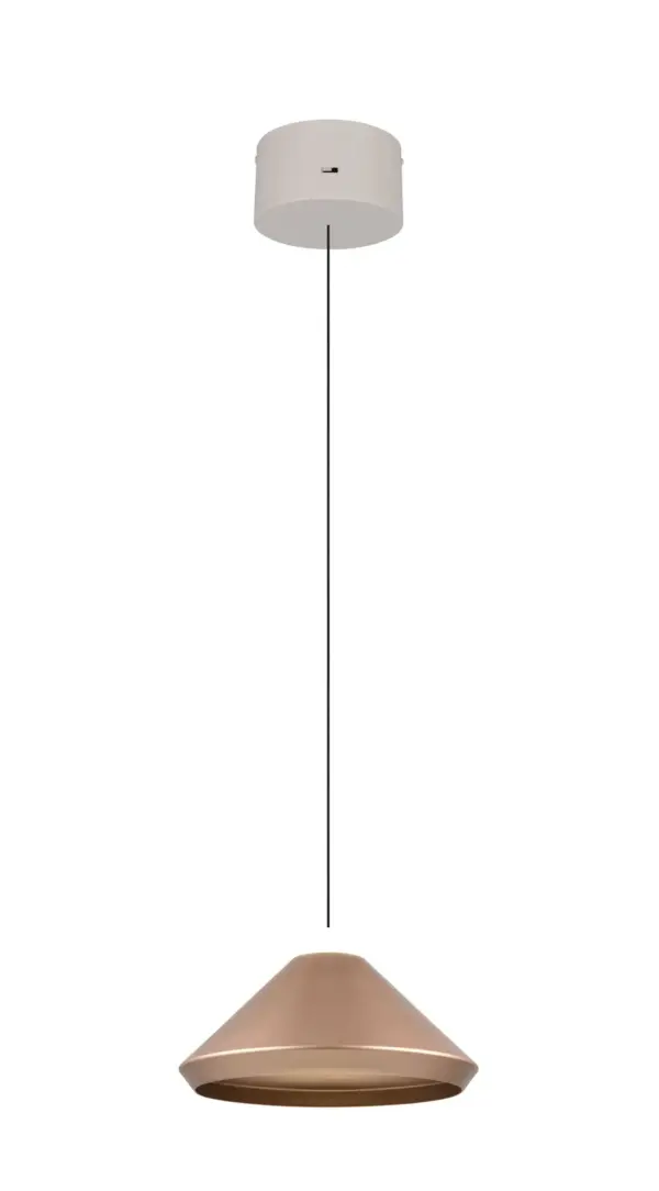 336219165_4