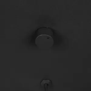 354811532_4