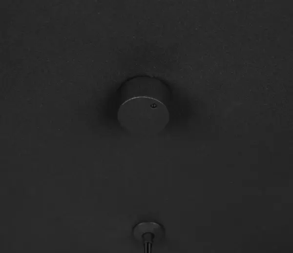 354811532_4