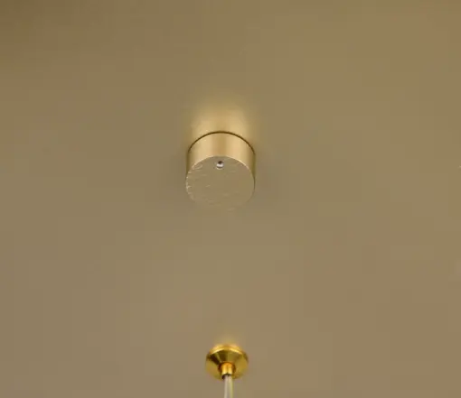 354811579_4