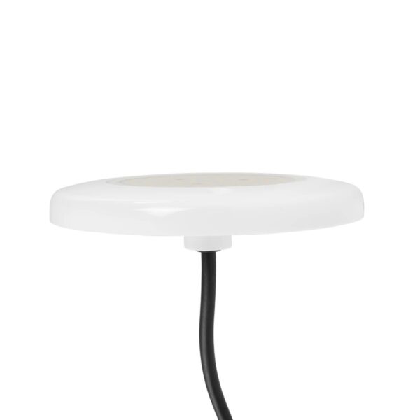 GLOBOSTAR® POOLARTY 61714 Υποβρύχιο Φωτιστικό για Σιντριβάνια/Πισίνες LED 8W 680lm 120° DC 12V Αδιάβροχο IP68 Ψυχρό Λευκό 6000K Dimmable – Bridgelux SMD Chip – 1m VDE Rubber Καλώδιο – Μ13 x Π13 x Υ2cm – 3 Χρόνια Εγγύηση