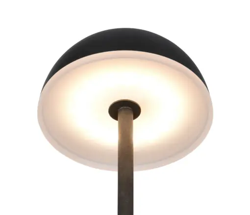 R53851102_2