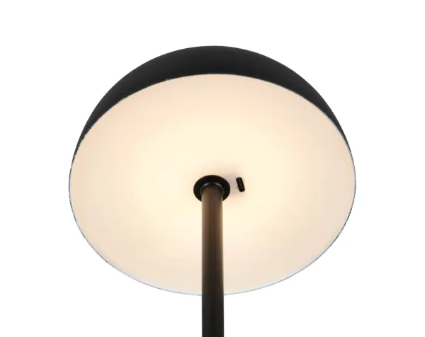 R54891132_3